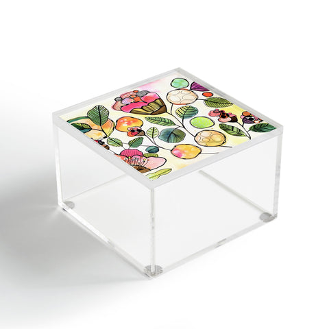 CayenaBlanca Magic Bubbles Acrylic Box