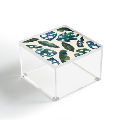 CayenaBlanca Minimal Jungle Acrylic Box