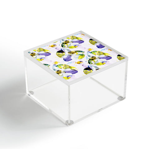 CayenaBlanca Orchid 3 Acrylic Box