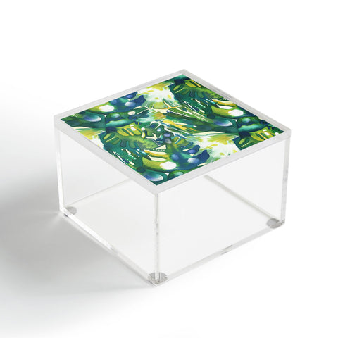 CayenaBlanca Rainy forest Acrylic Box