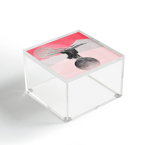 Ceren Kilic Equilibre Acrylic Box