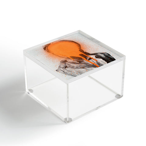 Chad Wys Busted 2 Acrylic Box