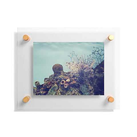 Chelsea Victoria Aqua Life Floating Acrylic Print