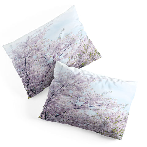 Chelsea Victoria Awakening Pillow Shams