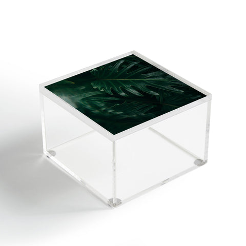 Chelsea Victoria Balmy Palm Acrylic Box
