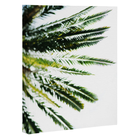 Chelsea Victoria Beverly Hills Palm Tree Art Canvas