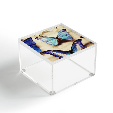Chelsea Victoria Blue Jeans Acrylic Box