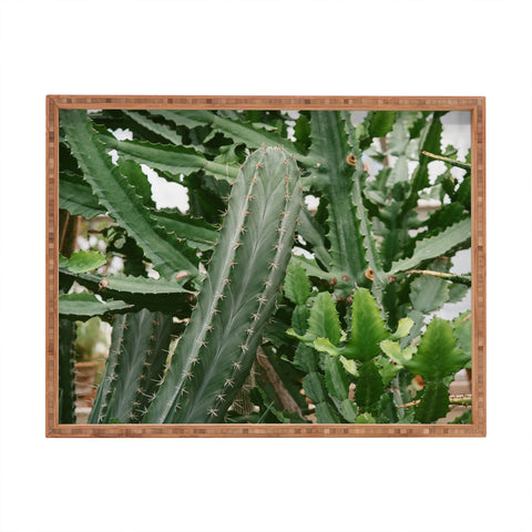 Chelsea Victoria Botanical Cactus Rectangular Tray