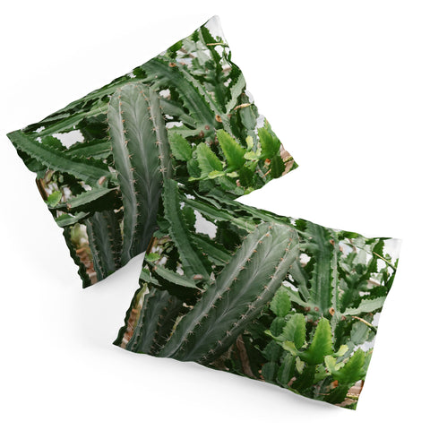 Chelsea Victoria Botanical Cactus Pillow Shams