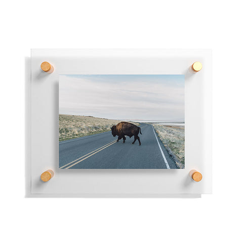 Chelsea Victoria Buffalo Bill Floating Acrylic Print