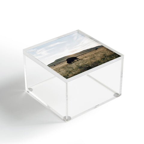 Chelsea Victoria Buffalo Sunset Acrylic Box