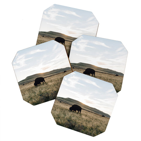 Chelsea Victoria Buffalo Sunset Coaster Set