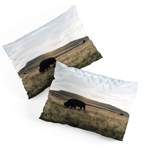 Chelsea Victoria Buffalo Sunset Pillow Shams