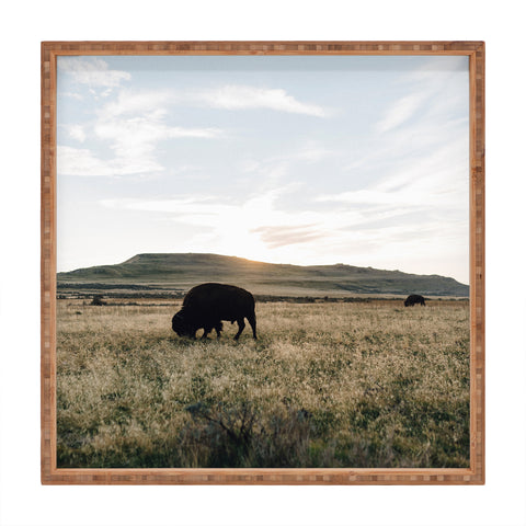Chelsea Victoria Buffalo Sunset Square Tray