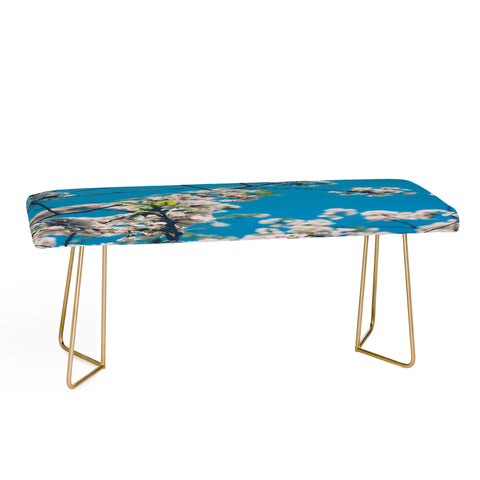 Chelsea Victoria Cherie Amour Bench