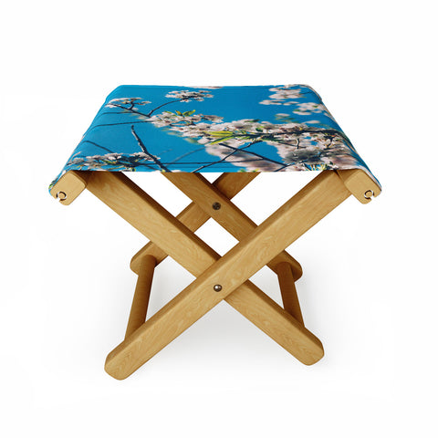Chelsea Victoria Cherie Amour Folding Stool