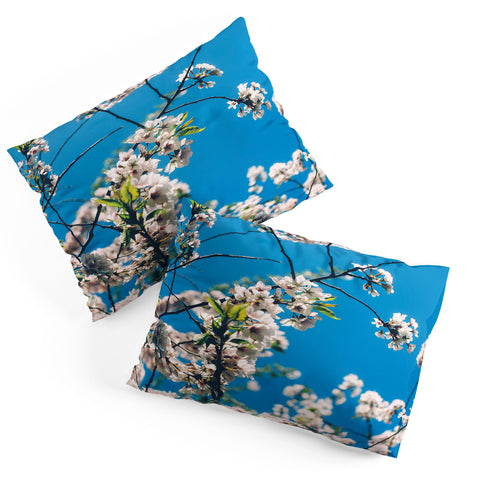 Chelsea Victoria Cherie Amour Pillow Shams