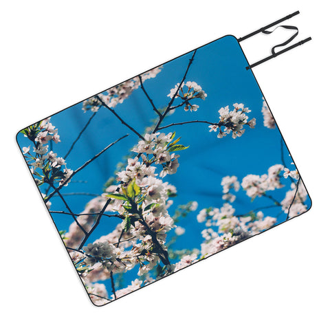Chelsea Victoria Cherie Amour Picnic Blanket