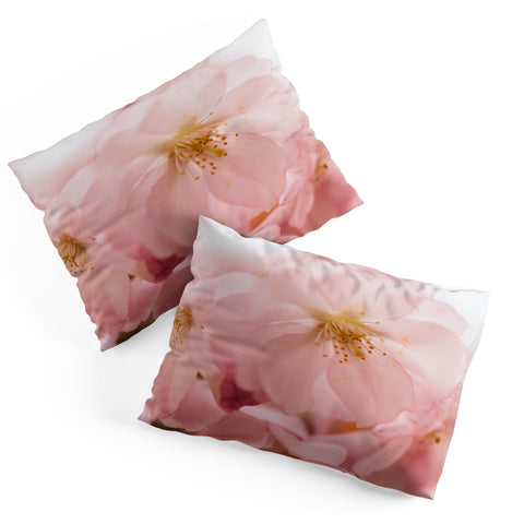 Chelsea Victoria Cherry Blossom Girl Pillow Shams