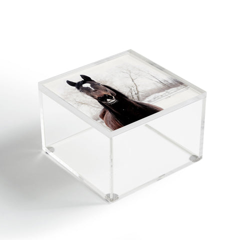 Chelsea Victoria Dark Horse Acrylic Box
