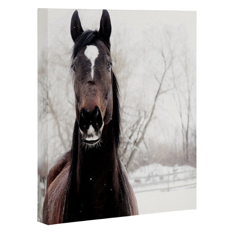 Chelsea Victoria Dark Horse Art Canvas