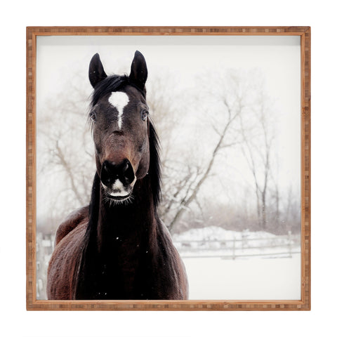 Chelsea Victoria Dark Horse Square Tray