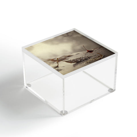 Chelsea Victoria December Mornings Acrylic Box