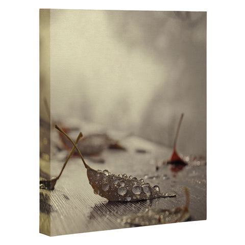 Chelsea Victoria December Mornings Art Canvas