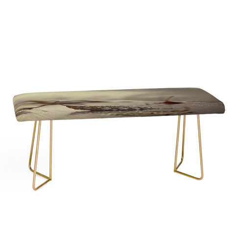 Chelsea Victoria December Mornings Bench