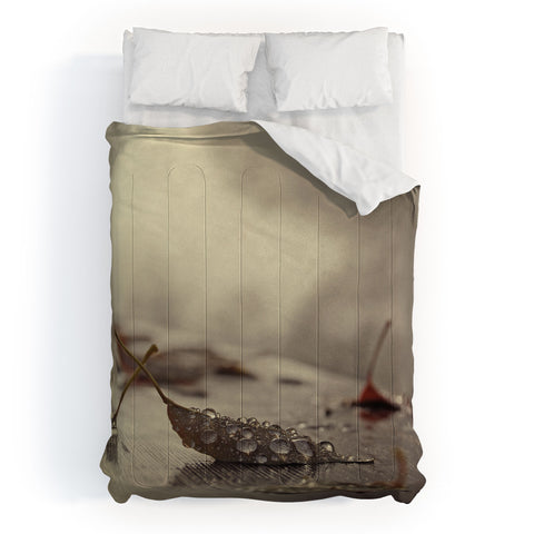 Chelsea Victoria December Mornings Comforter