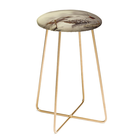 Chelsea Victoria December Mornings Counter Stool