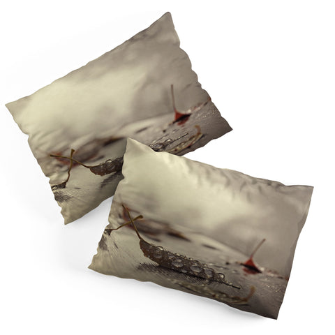 Chelsea Victoria December Mornings Pillow Shams