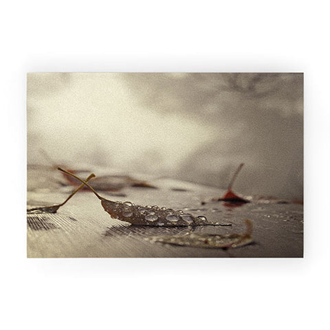 Chelsea Victoria December Mornings Welcome Mat