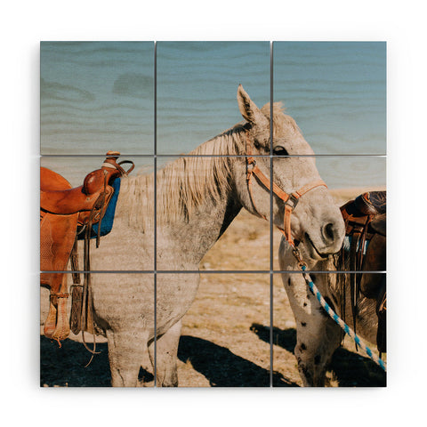 Chelsea Victoria Desert Horse Wood Wall Mural