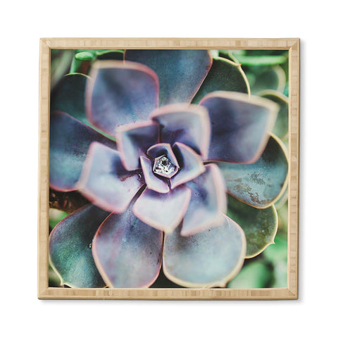 Chelsea Victoria Desert Rain Framed Wall Art