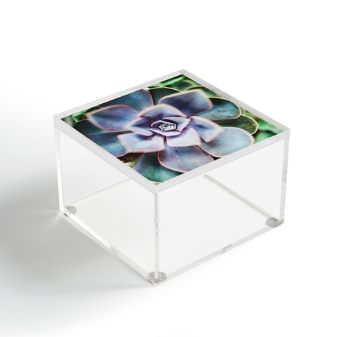 Chelsea Victoria Desert Rain Acrylic Box