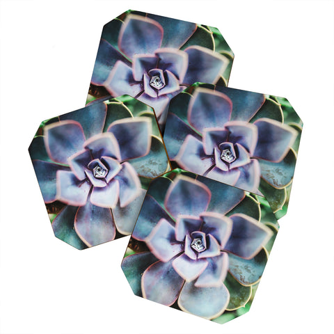 Chelsea Victoria Desert Rain Coaster Set