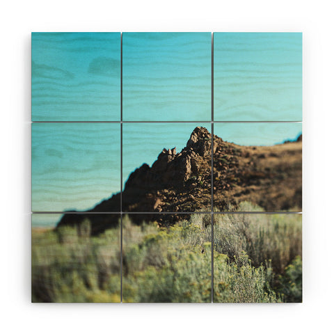 Chelsea Victoria Desert Vibes Wood Wall Mural