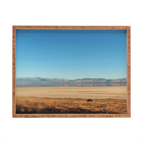 Chelsea Victoria Desperado Rectangular Tray