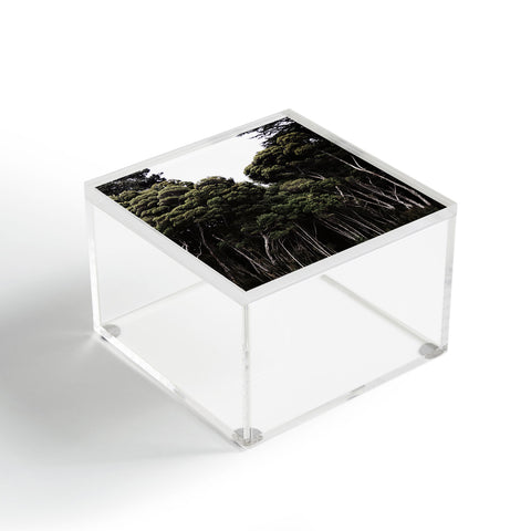Chelsea Victoria Do Not Go Into The Woods Acrylic Box