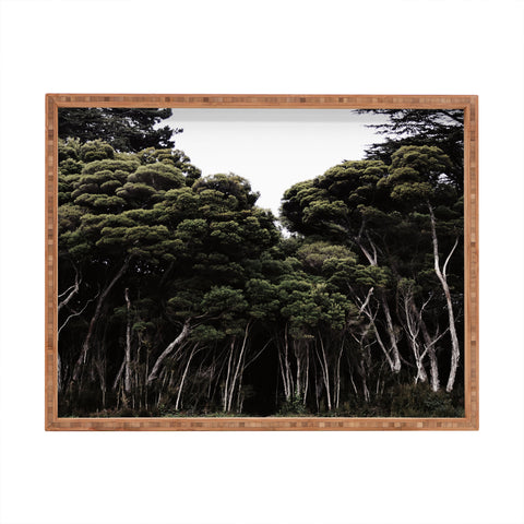 Chelsea Victoria Do Not Go Into The Woods Rectangular Tray