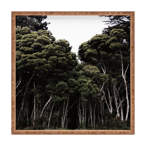 Chelsea Victoria Do Not Go Into The Woods Square Tray