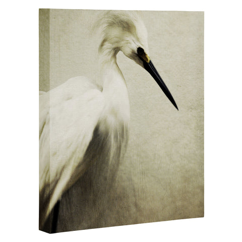 Chelsea Victoria Egret To See You Art Canvas