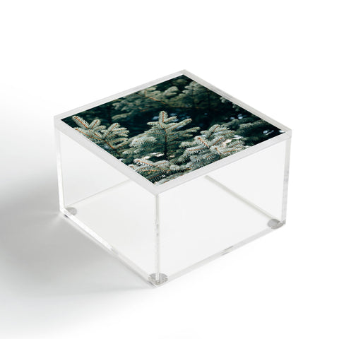 Chelsea Victoria Evergreen Acrylic Box