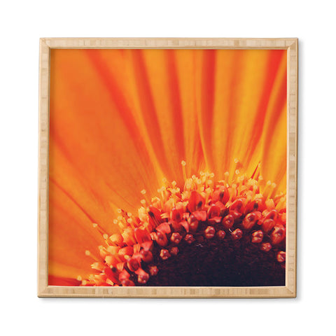 Chelsea Victoria Flower Burst Framed Wall Art