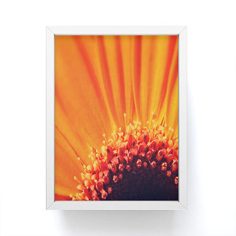 Chelsea Victoria Flower Burst Framed Mini Art Print