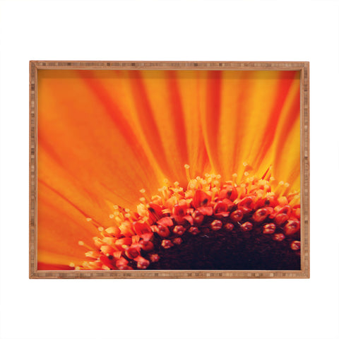 Chelsea Victoria Flower Burst Rectangular Tray