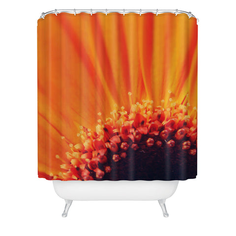 Chelsea Victoria Flower Burst Shower Curtain