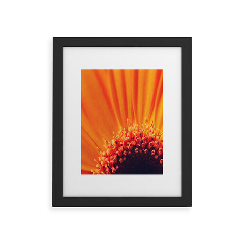 Chelsea Victoria Flower Burst Framed Art Print