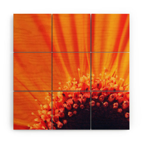 Chelsea Victoria Flower Burst Wood Wall Mural